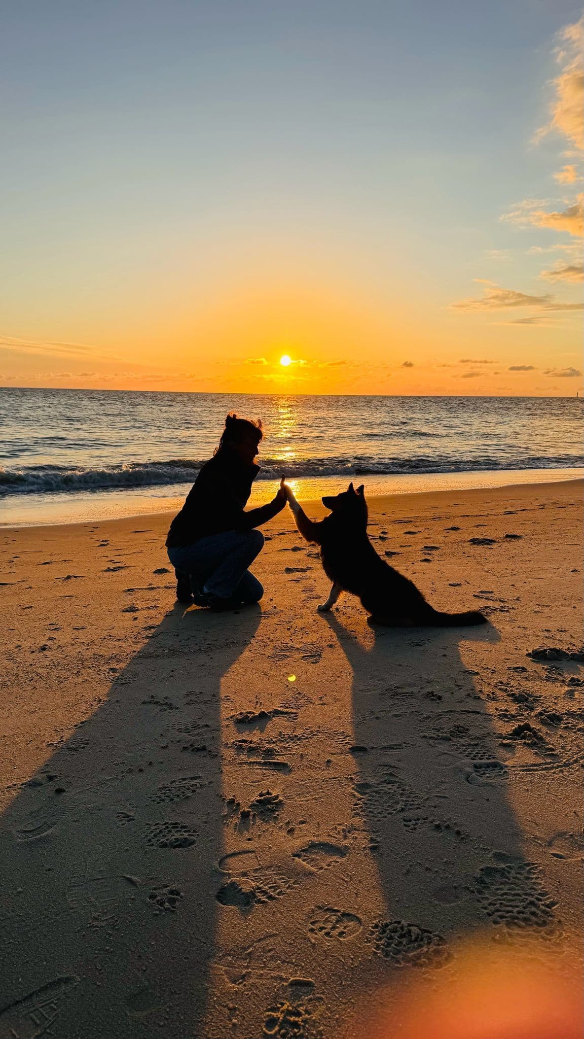Hund und Mensch geben sich ein High-Five am Strand bei Sonnenuntergang